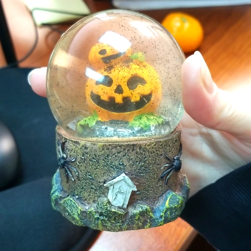 Mini Pumpkin Globe Fall Decor Cottagecore Halloween Harvest Decoration NWT Copy